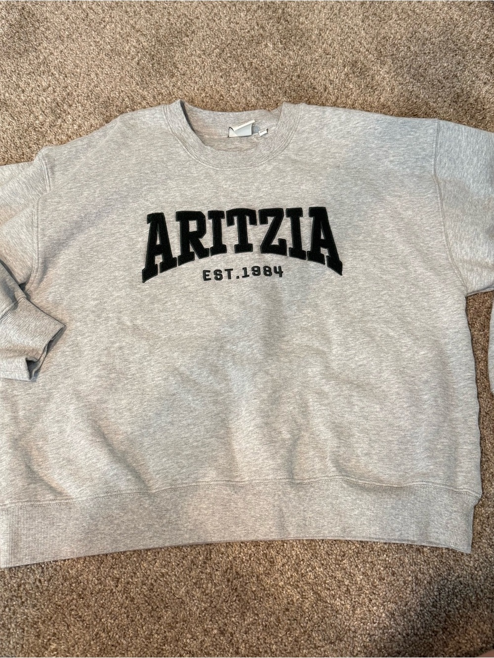 Aritzia Sweatfleece Perfect Fit Gray Crewneck Sweatshirt - Classic Logo